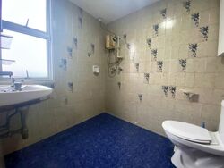 Faber Garden Condominium (D20), Condominium #615266271